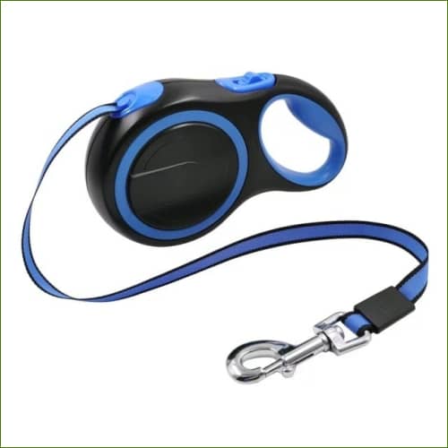 Laisse french bouledogue Rétractable Bleu / 5M