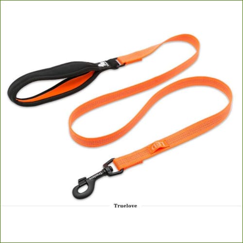 Orange / L