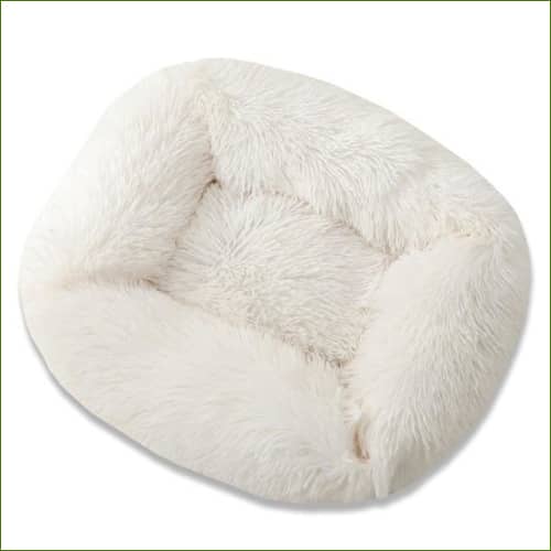 Blanc / L