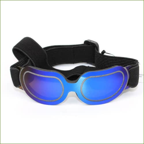 Doggles Bleu