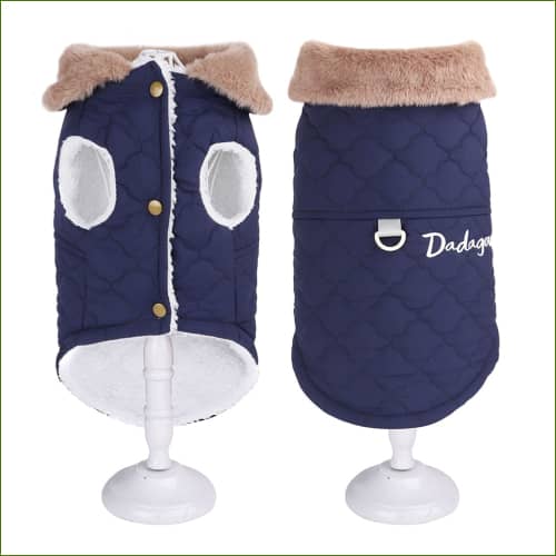 Manteau avec attache de laisse Pour Chien