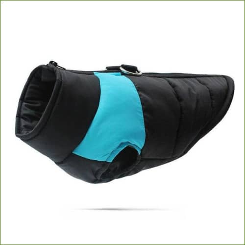 manteaux pour animaux / Xxxl