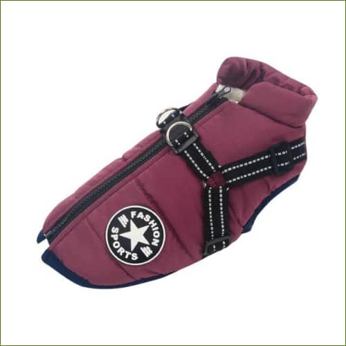 Manteau Harnais Mauve / L