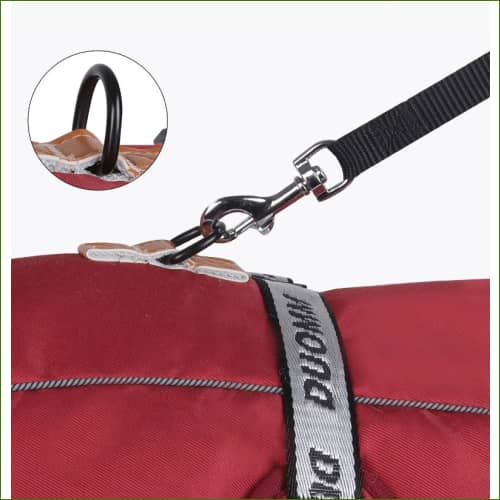 Manteau Grand Chien