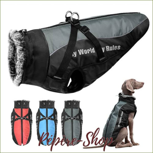 Manteau pour labrador imperméable avec harnais intégré - -PEPERE SHOP