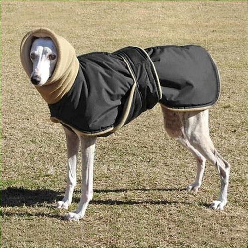 Manteau pour lévrier noir / 3XL
