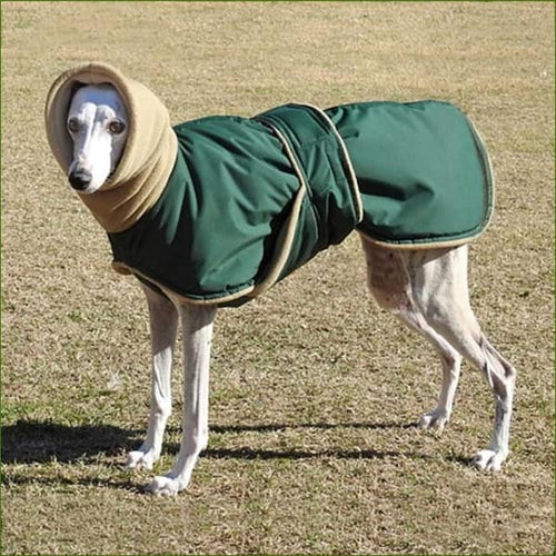 Manteau pour lévrier vert / 3XL