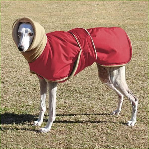 Manteau pour lévrier rouge / 3XL