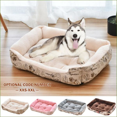 en situation avec un husky