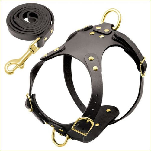 Harnais et laisse en cuir pas cher Black Brown / L