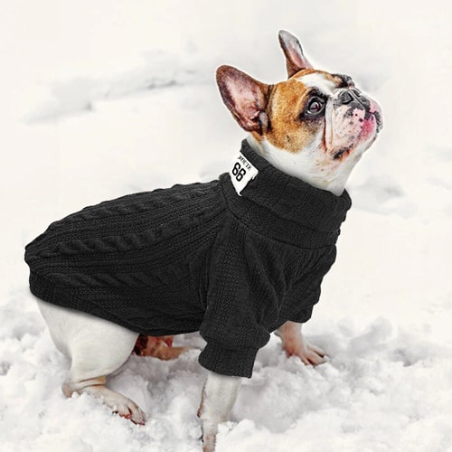pull pour chien
