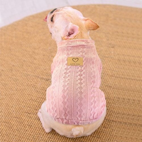 Tricot pour chien en laine