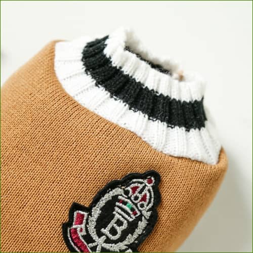 Pull design pour petit chien