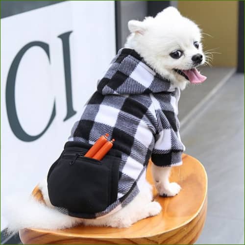 Pull pour Petits Chiens