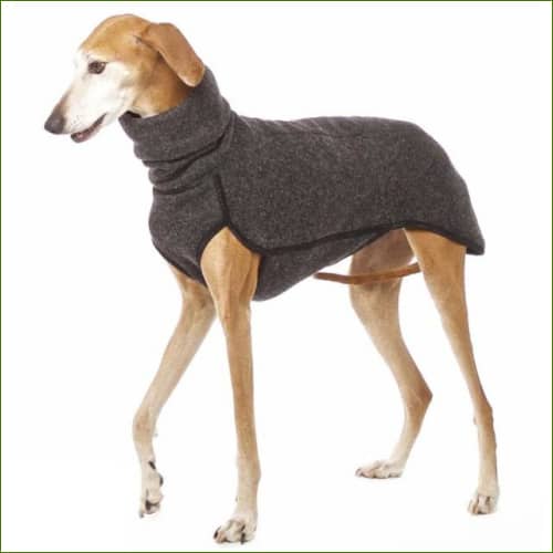 Gris Foncé / 5Xl