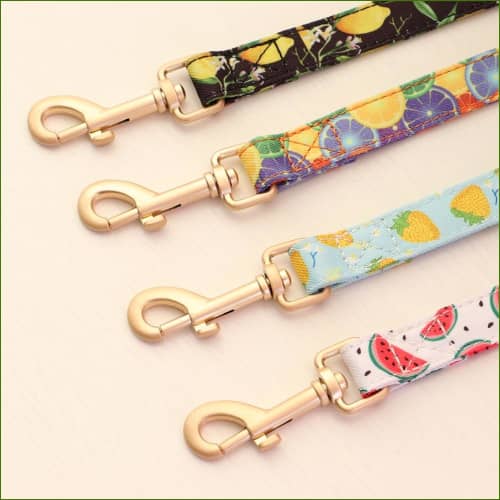 laisse assortie