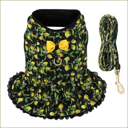 Robe Pour Chien Chic Et Élégante Avec Laisse Assortie Noir / Xs