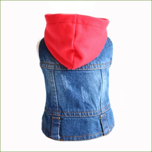 Manteau Petit Chien