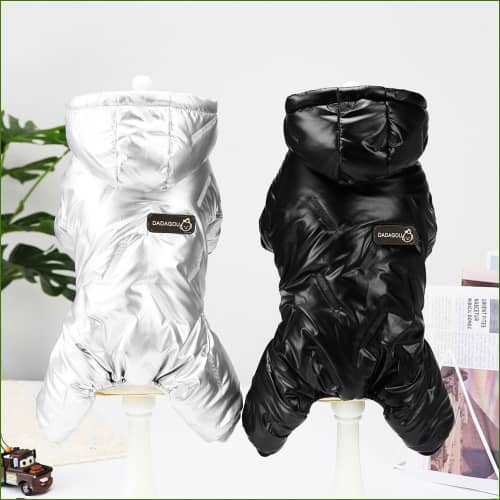 manteau d'hiver Pour Chien design