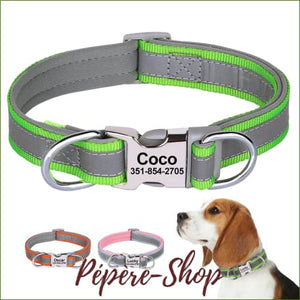 Collier avec prénom réfléchissant pour Jack Russell en nylon Vert ou Bleu/