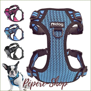 Harnais anti-traction MIDOG, souple et respirant pour petits chiens