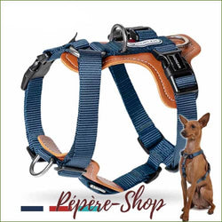 Harnais Cuir Réglable Pour Chien Avec Attache Avant Et Arrière