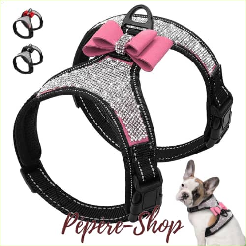 Harnais décoratif pour petit chien avec verroterie - Pépère Shop