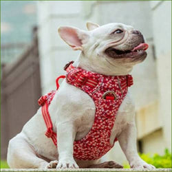 Harnais pour animal de compagnie modèle POPPY RED