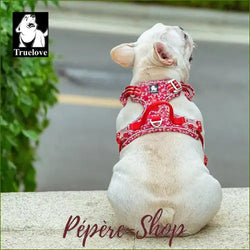 Harnais Haut De Gamme Réglable Et Design pour bouledogue