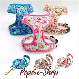 Harnais pour animaux de compagnie avec impression design et laisse assortie