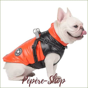 Manteau harnais réfléchissant pour Bouledogue Français, pensé pour la ville/
