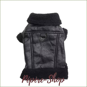 Veste en cuir doublée pour carlin/