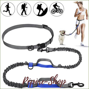 Ceinture laisse de canicross en nylon
