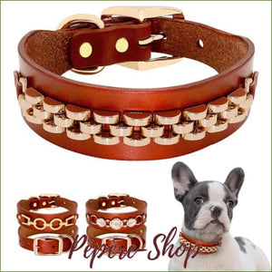 Collier de luxe PETSTAR pour chien avec motif décoratif en métal doré