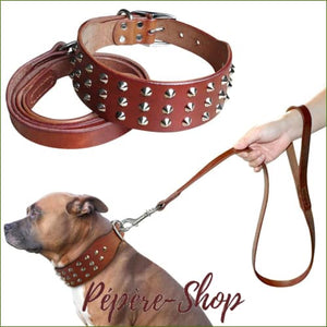 Collier épais et solide avec pointes décoratives en acier avec sa laisse assortie