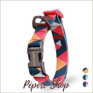 Collier de luxe en nylon souple coloré et design pour chien avec la laisse assortie