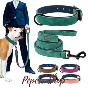 Collier et laisse en cuir MIDOG avec rembourrage néoprène