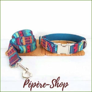 Collier luxe pour chien design coloré et inédit avec sa laisse