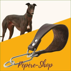 Collier martingale pour lévriers - sécurité, confort et contrôle sans contrainte