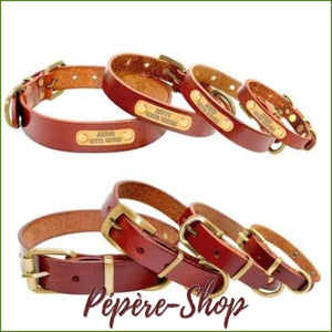 Collier personnalisable pour chien en cuir véritable avec gravure laser