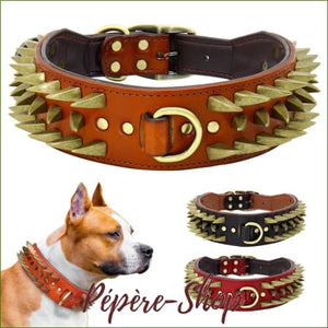 Collier pour bull terrier haut de gamme en cuir avec pointes