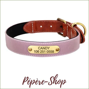Collier Pour Chien En Cuir Gravé Et Réfléchissant Rose / S