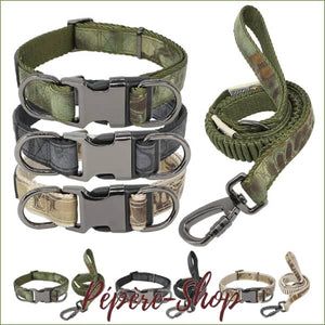 Collier tactique avec sa laisse assortie