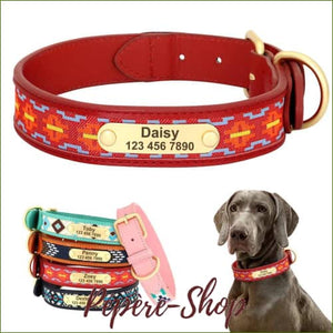 Colliers gravés pour chiens motifs ethniques