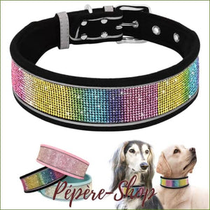 Colliers larges réfléchissants pour chien - verroterie décorative et sécurité