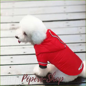 Doudoune à capuche pour petit chien imperméable et stylée/