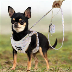 Harnais anti traction chiwawa