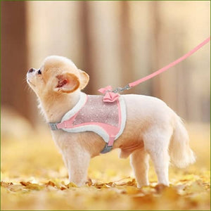 Harnais pour chihuahua