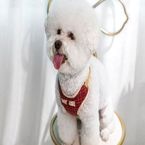 harnais pour chien