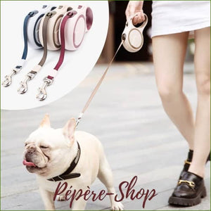 Laisse Pour Bouledogue Rétractable